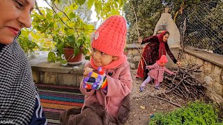 Parisa's Heartwarming Adoption Journey: A Nazri Ash For Her Village