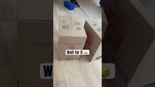 Box Fort Surprise