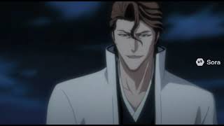 Aizens Plan...