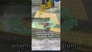 Canım Anam