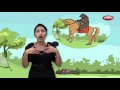 Hindi Rhymes For Kids With Actions 10 Hindi Rhymes Collection Hindi Rhymes For Kids With Actions 10 Hindi Rhymes Collection