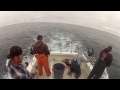 North Cal Sportfishing