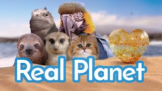 Real Planet: Best Bits