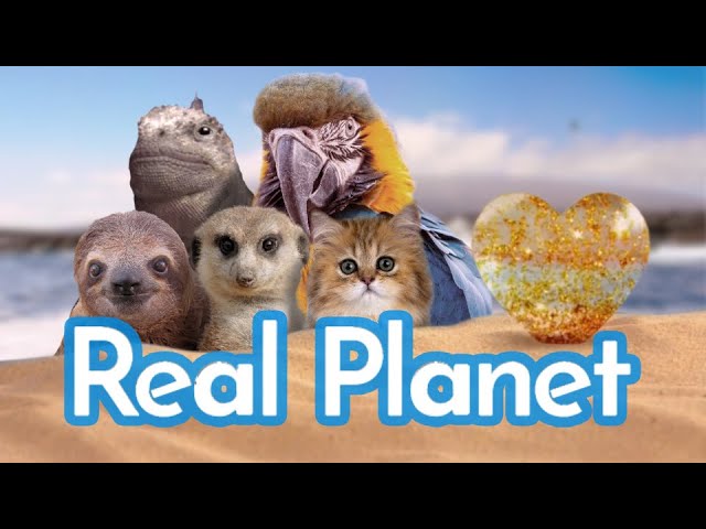 Real Planet