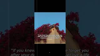 That Is The Reality Batmana Ansak Arabic Song Sherine Songs
