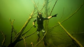 Treasure Hunting a Creepy Underwater Forest!! (Found GoldMine) Treasure Hunting a Creepy Underwater Forest!! (Found GoldMine)
