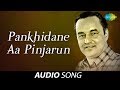 Pankhidane Aa Pinjarun | This cage to the bird Gujarati Song | Mukesh