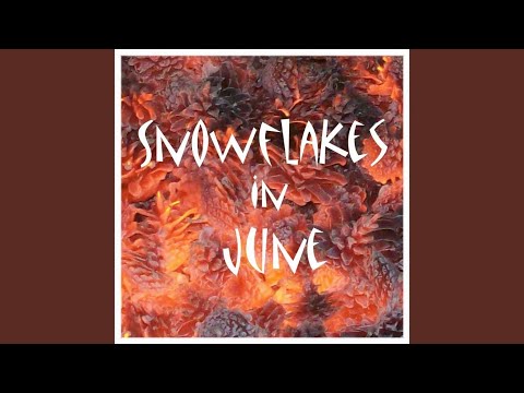 Undercover Video