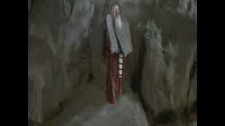 Watch Contradiction Commandments video