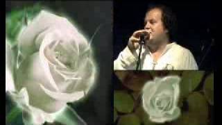Клип ТІК - Белые розы