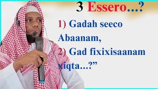 3 Essero... Gadah Sinamah Seecaanam Xiqta