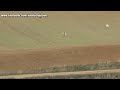 14.- Galgos vs Liebres XIV --- Greyhounds vs Hares XIV