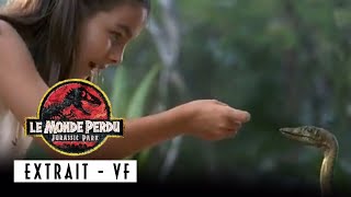 Jurassic Park 2 - extrait : les compsognathus - (VF) Jurassic Park 2 - extrait : les compsognathus - (VF)