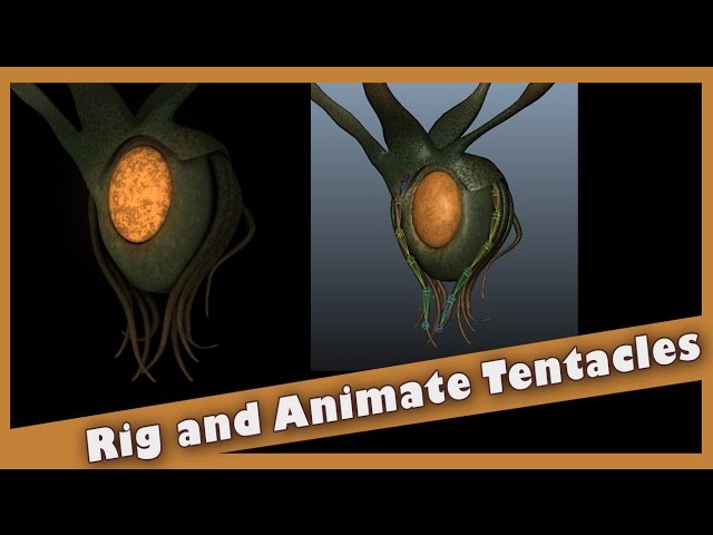 Rigging and Dynamics