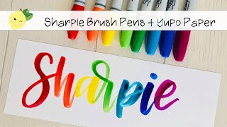sharpie brush pens + yupo paper // hand lettering subscriber names in real time