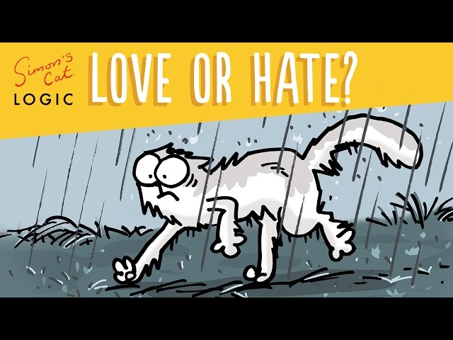 Do Cats Really Hate Water? - Video