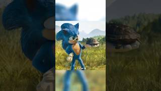Tiny Turtles Secret Ride With Sonic