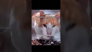 Donde Esta El An Speakerman Lo Han Desinfectado