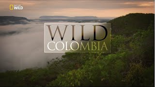 Vahşi Yolculuk: Kolombiya | Türkçe Belgesel