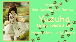 Doll Box Opening and Review: Yuzuha Three Colored Cat, Meow Meow a la mode