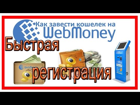 Как сделать кошелек в вебмани без паспорта