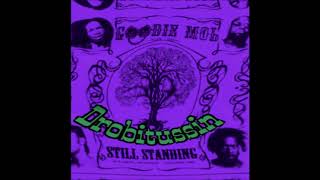 Watch Goodie Mob Just About Over video
