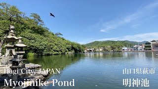 明神池Myojinike Pond山口県萩市Hagi City,Japan