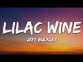 Jeff Buckley - Lilac Wine (Lyrics)