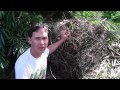 Urban Permaculture Tour plus How to Control Bugs without Spraying Anything