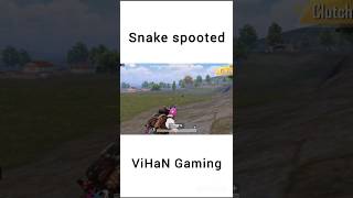 Snake Spooted