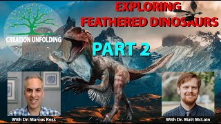 Exploring Feathered Dinosaurs From A Creationist Perspective Modern Feathers Part 2