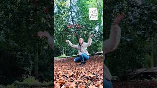 Makaton Sign - Autumn.