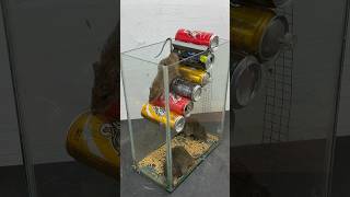 Great Idea To Make Your Own Mouse Trap From Old Water Cans #Rat #Rattrap #Mousetrap #Shorts