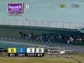 Cyber Circuit: Battle of Brandywine -- USTA Harness Racing