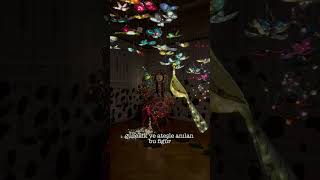Canan Şehretünnar 2024