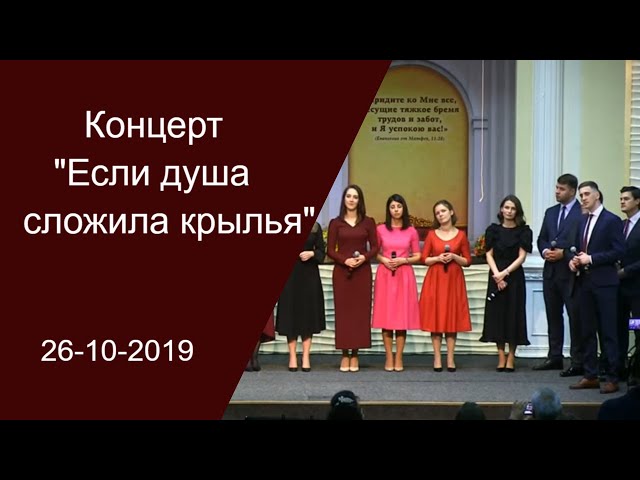 Концерты