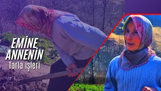 Emine Annenin Çileli Köy Işleri Başladı