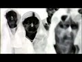 alien pimp - worldwide babylon (nature call)