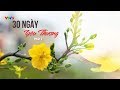 Lập Trình Trái Tim| 30 ngày yêu thương - Phần 2 |VTV9