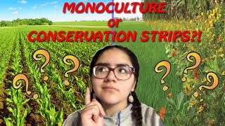 Monoculture What Is It? How Does It Affect Pollinators?? - My 4H Public Speaking Speech