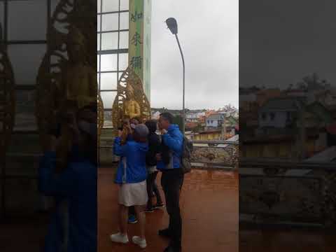 Địa điểm du lịch ở Đà Lạt