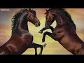 Feelings (Extended) | Relaxing Romantic Music by Peder B. Helland