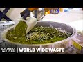Meet 8 Young Founders Turning Trash Into Cash | World Wide Waste | Insider Business