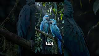 The Rarest Parrot On Earth The Blue Spixs Macaw