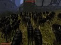 Gothic 2 Cheating fun: Pig Attack