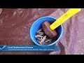 NOAA Coral Reef Restoration - M/V Atlantique Grounding