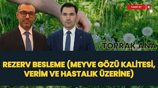 Rezerv Besleme Meyve Gözü Kali̇tesi̇, Veri̇m Ve Hastalik Üzeri̇ne I Toprak Ana