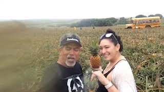 TAK’s Drive To HANA