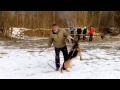 Работаем защиту с П.Губиным