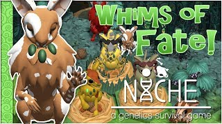 Overwhelmed By Womanly Whims Niche Whims Of Fate Challenge - Episode